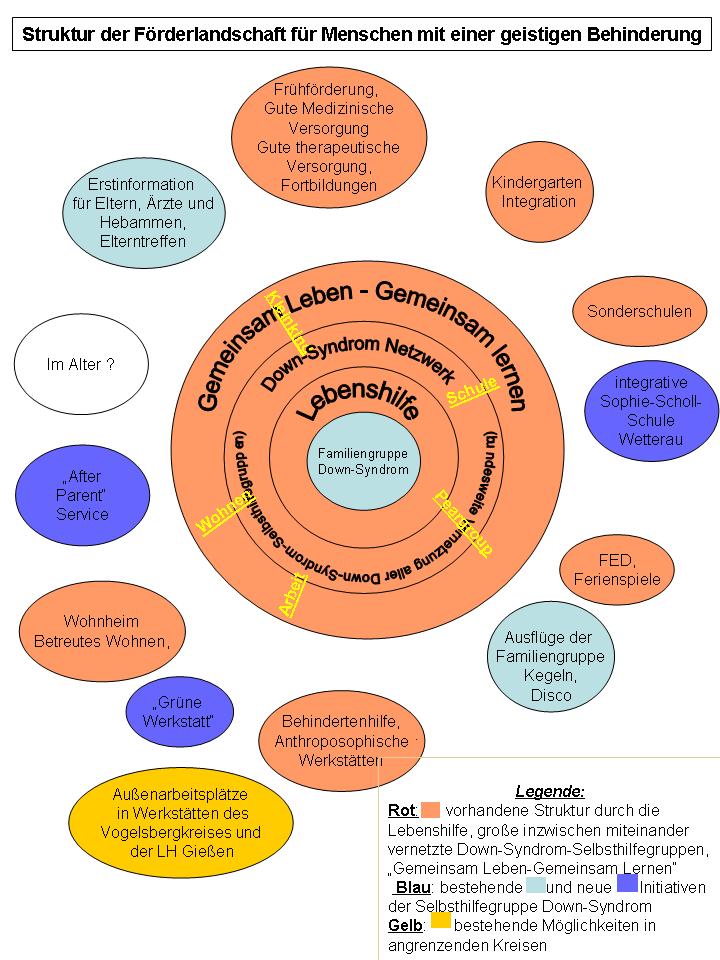 Struktur der Förderlandschaft für Menschen mit einer geistigen Behinderung