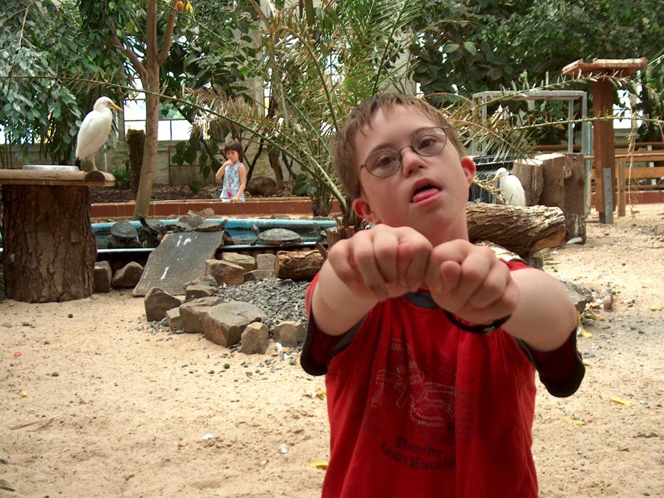 Axel interessiert sich mehr für die Schildkröten als für die Vögel